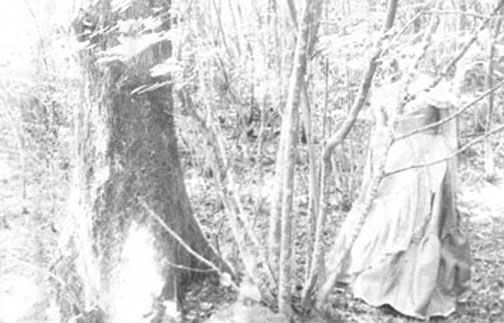 Valentina D’Accardi – Polvere sottile