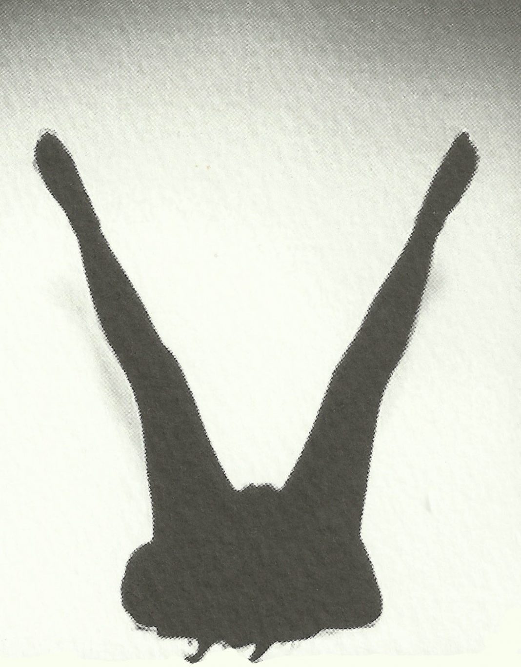 Valore Vaginale. Lettura di poesie di Tomaso Bingahttps://www.exibart.com/repository/media/eventi/2011/09/valore-vaginale.-lettura-di-poesie-di-tomaso-binga-1068x1367.jpg