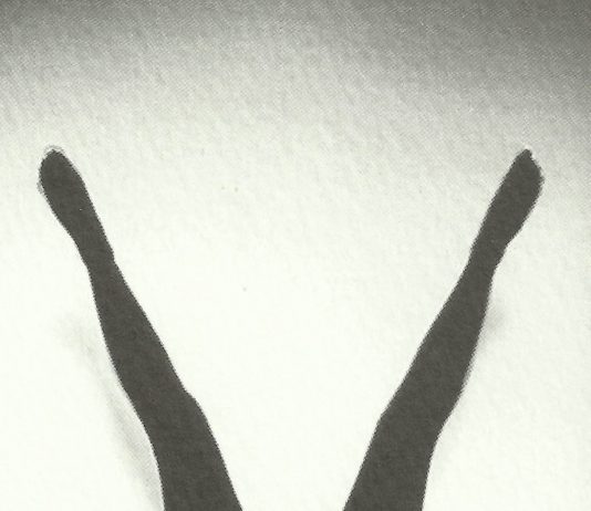 Valore Vaginale. Lettura di poesie di Tomaso Binga