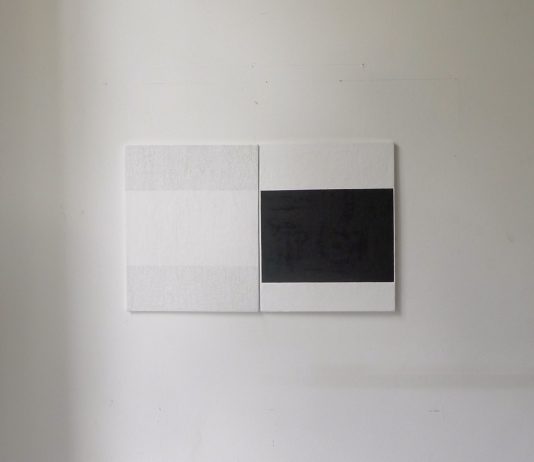 Alan Johnston – Spazi in Atto