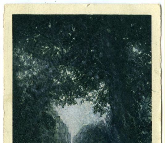 Andrea Fogli – Manifesto per silenzio e voce