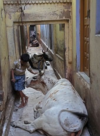 Andrea Micheli – Dieci rupie