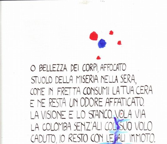 Animalidiversi