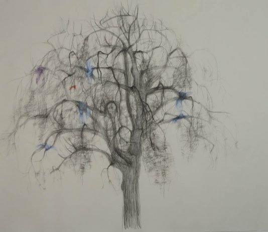 Avish Khebrehzadeh  – Whispers in the Ears of Silence and the Wind