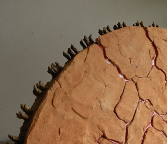 Carlo D’Oria – Sentieri