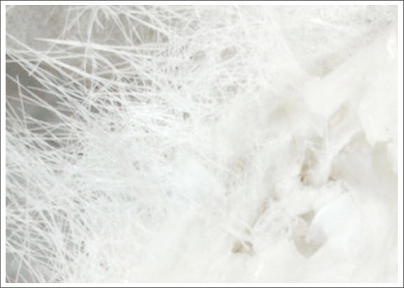 Enza Galantini – Soap operahttps://www.exibart.com/repository/media/eventi/2011/10/enza-galantini-8211-soap-opera.jpg