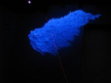 Gianni Caruso – Volere Volare