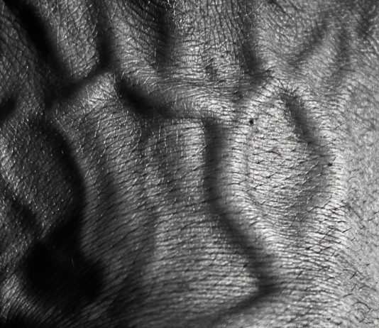 Giorgio Ferri – Hand’s Portraits