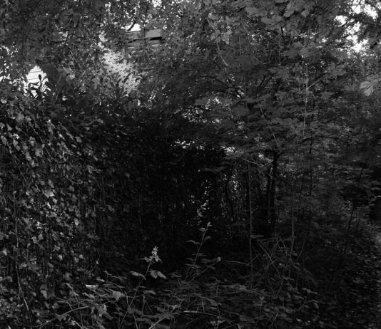 Paul Hendrikse – All Thoughts Are Prey to Some Beast