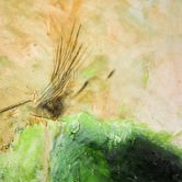 Raffaele Sicignano – Aria, impeto e silenzio. E’ notte, illuminatamente buia