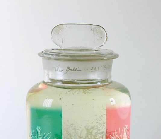 Theo Gallino – In…contaminazione