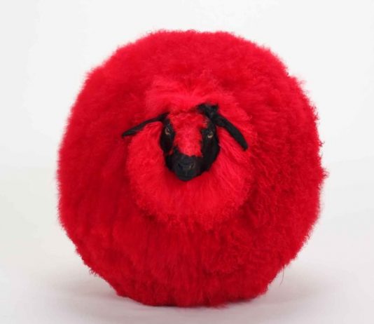 Yang Maoyuan / A Loulan citizen