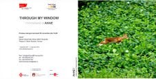 Ahae  – Through my window