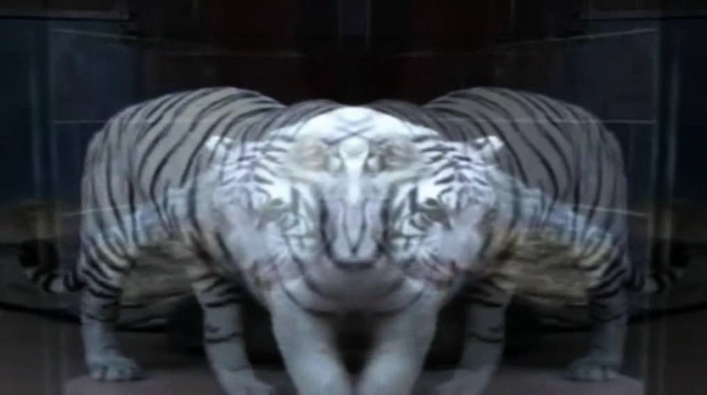 Angolo unohttps://www.exibart.com/repository/media/eventi/2011/11/angolo-uno.jpg