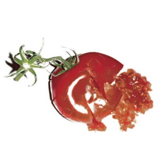 CONCRETE LANDSCAPES | BOLOGNA VIOLENTA