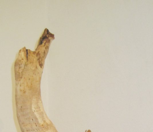 Ignazio Galfano – Guardo..Guardo..Vedo