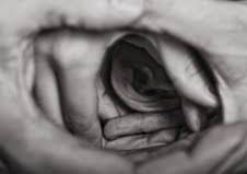 Lorenza Cavalli / Lorenzo Sala – Mikrokosmos