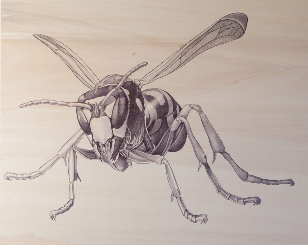 Marcello Carrà  – Ritratti di un fragile zoohttps://www.exibart.com/repository/media/eventi/2011/11/marcello-carrà-8211-ritratti-di-un-fragile-zoo-1068x849.jpg