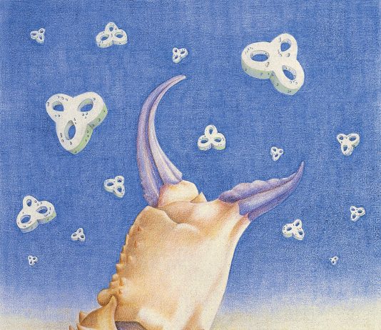 Marco Fulvi – Rifacimenti