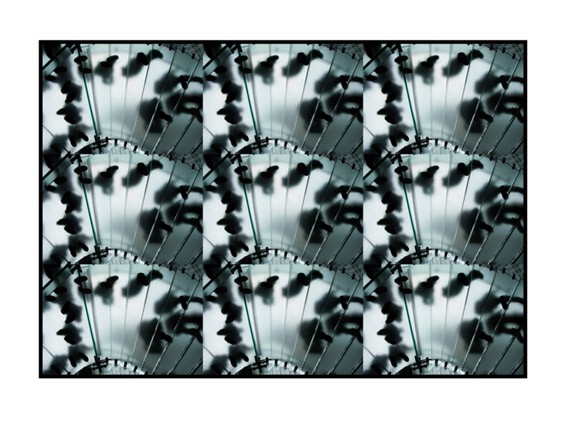 Mostra fotograficahttps://www.exibart.com/repository/media/eventi/2011/11/mostra-fotografica.jpg