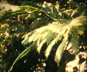 ORCHARD Season #3:  Christian Tripodina