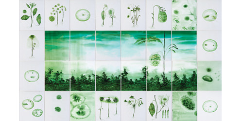 Pierluigi Pusole – Figli dei monti / Pierluigi Pusole + Sara Conforti – Herbarium Pierluigi Pusole – Figli dei monti / Pierluigi Pusole + Sara Conforti – Herbarium