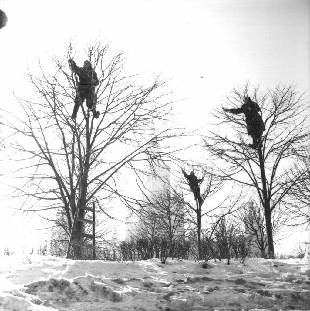 Victor Akhlomov / Gabriele Lentini – Prospettiva Russiahttps://www.exibart.com/repository/media/eventi/2011/11/victor-akhlomov-gabriele-lentini-8211-prospettiva-russia.jpg