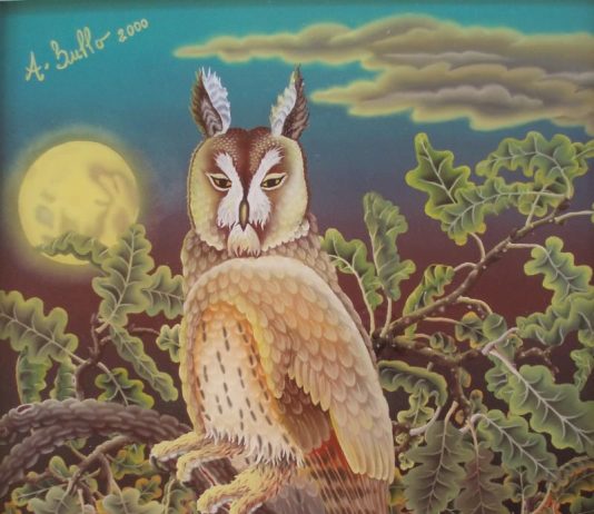 Alessandro Bullo – Tra favola e realtà