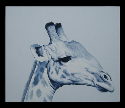 Angelo Zanella – Animali & Arte