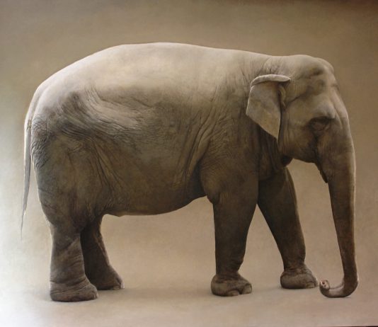 Marzio Tamer – Elefante