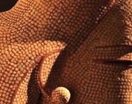 Mokichi Otsuka – Il sorriso interiore