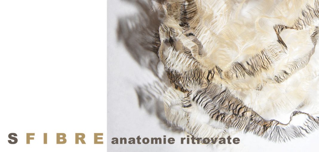 Annaclara Zambon – S F I B R E Anatomie ritrovatehttps://www.exibart.com/repository/media/eventi/2012/01/annaclara-zambon-8211-s-f-i-b-r-e-anatomie-ritrovate-1068x509.jpg