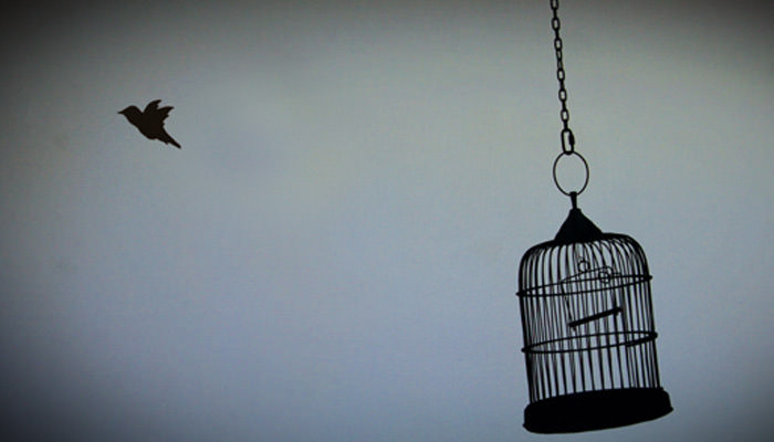 AuroraMeccanica – Dance Me to the End of Lovehttps://www.exibart.com/repository/media/eventi/2012/01/aurorameccanica-8211-dance-me-to-the-end-of-love.jpg