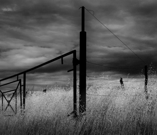 Cayetano Arcidiacono / Angelo Pitrone – Palermo Cordoba andata e ritorno Cayetano Arcidiacono / Angelo Pitrone – Palermo Cordoba andata e ritorno