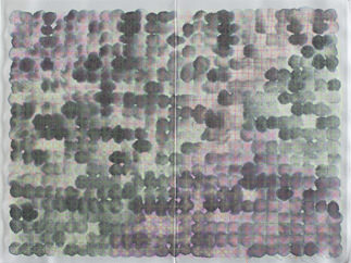 Ding Yi – Sul segno degli artisti