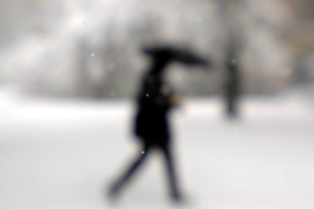 Federica Brunini – Ombrebianche/Animerossehttps://www.exibart.com/repository/media/eventi/2012/01/federica-brunini-8211-ombrebiancheanimerosse.jpg