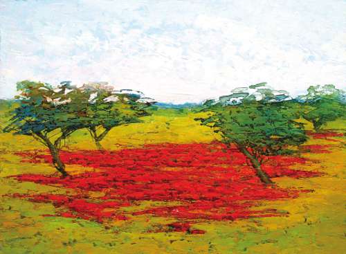 Alessandro Mazzuca – Luci, colori e armonie Alessandro Mazzuca – Luci, colori e armonie