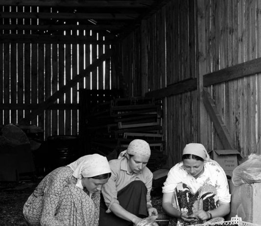 Anastasia Khoroshilova – The Obedient