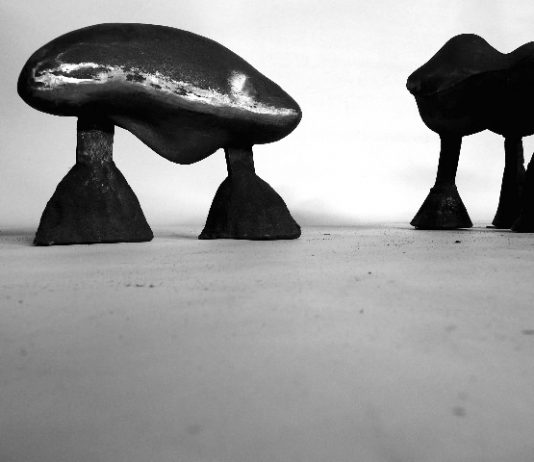 Antoine Zgraggen – Il peso fa paura (Haptikos)