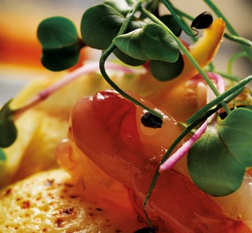 Ezio Prandini – Vasocottura Ezio Prandini – Vasocottura