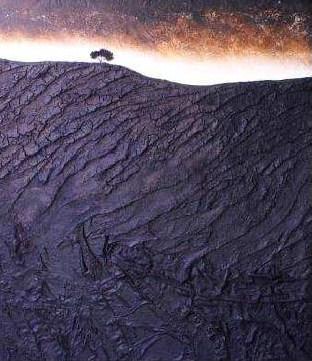 Mario Paschetta – Madre Terra