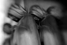 Silenzi Pregnanti – Luoghi – Spazi – Paesaggi