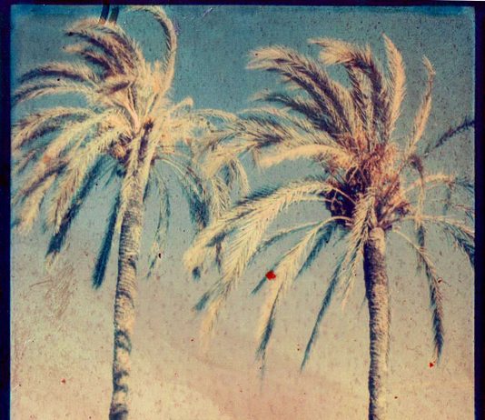 Carlotta Destro – Sorridendi