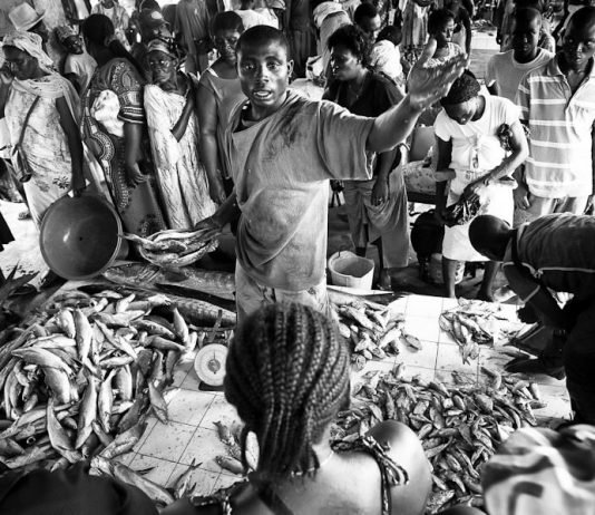 Davide Bonaiti – Camerun