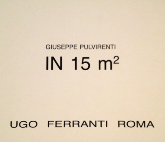 Giuseppe Pulvirenti – In 15 m²