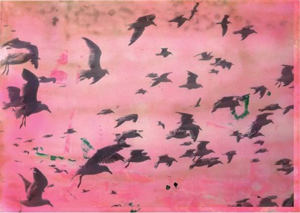 Il colore è energiahttps://www.exibart.com/repository/media/eventi/2012/03/il-colore-è-energia.jpg