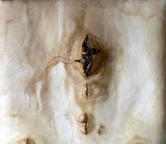 Paolo Lazzari – Pressioni antagoniste