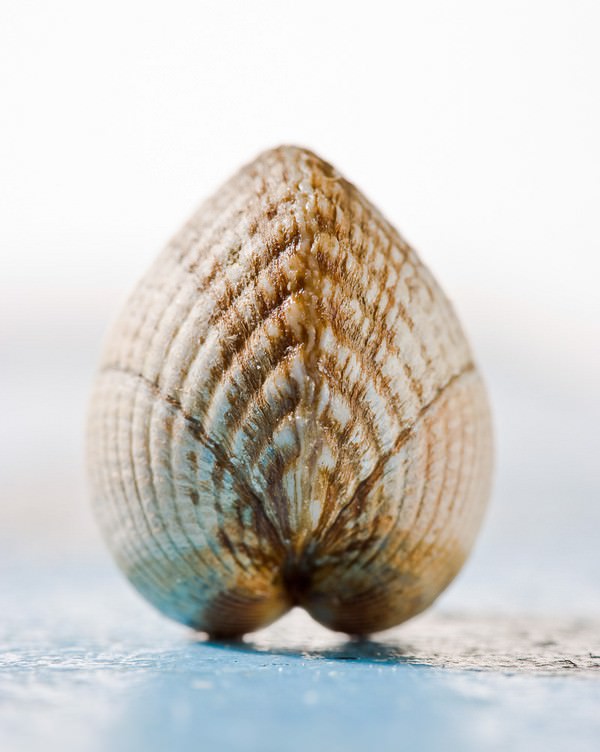 Salvador Camarasaltashttps://www.exibart.com/repository/media/eventi/2012/03/salvador-camarasaltas.jpg