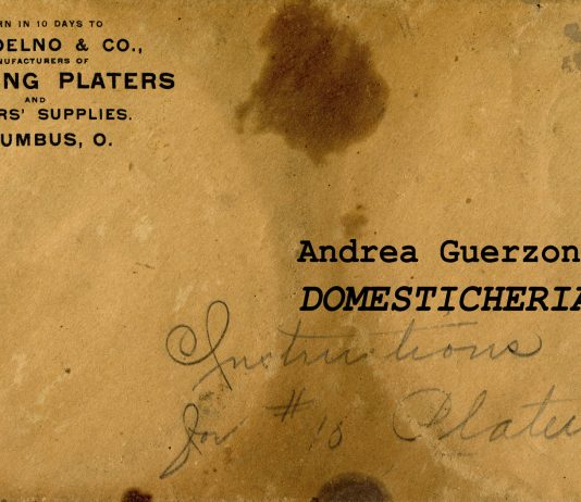 Andrea Guerzoni – Domesticheria
