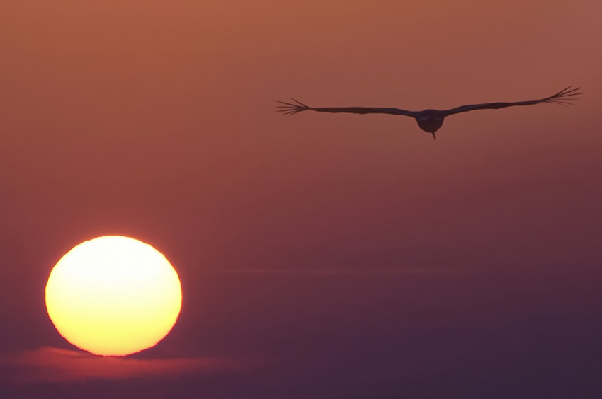 Elena Bacchi – Attimi di naturahttps://www.exibart.com/repository/media/eventi/2012/04/elena-bacchi-8211-attimi-di-natura.jpg